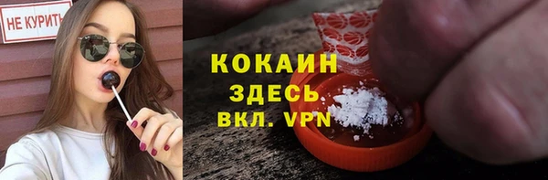 spice Беломорск