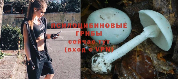 мяу мяу мука Белокуриха