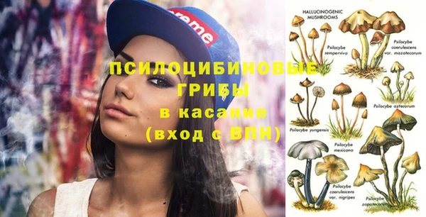 сатива Белоозёрский
