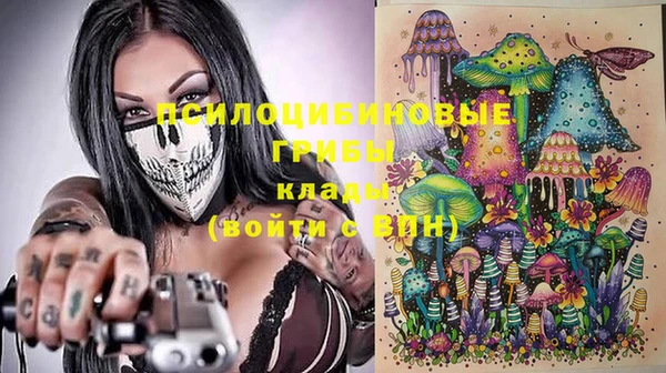 мяу мяу мука Белокуриха