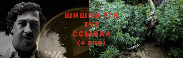 сатива Белоозёрский