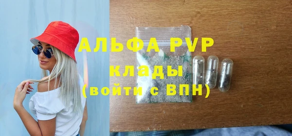 мяу мяу мука Белокуриха