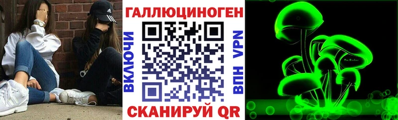 где продают наркотики  Красный Сулин  Галлюциногенные грибы Psilocybine cubensis 